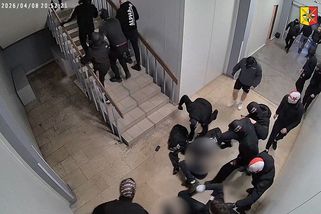 Brutální mlácení, kopání do ležících, skákání na hlavu. Policie pátrá po fotbalových chuligánech ze šíleného videa - Novinky